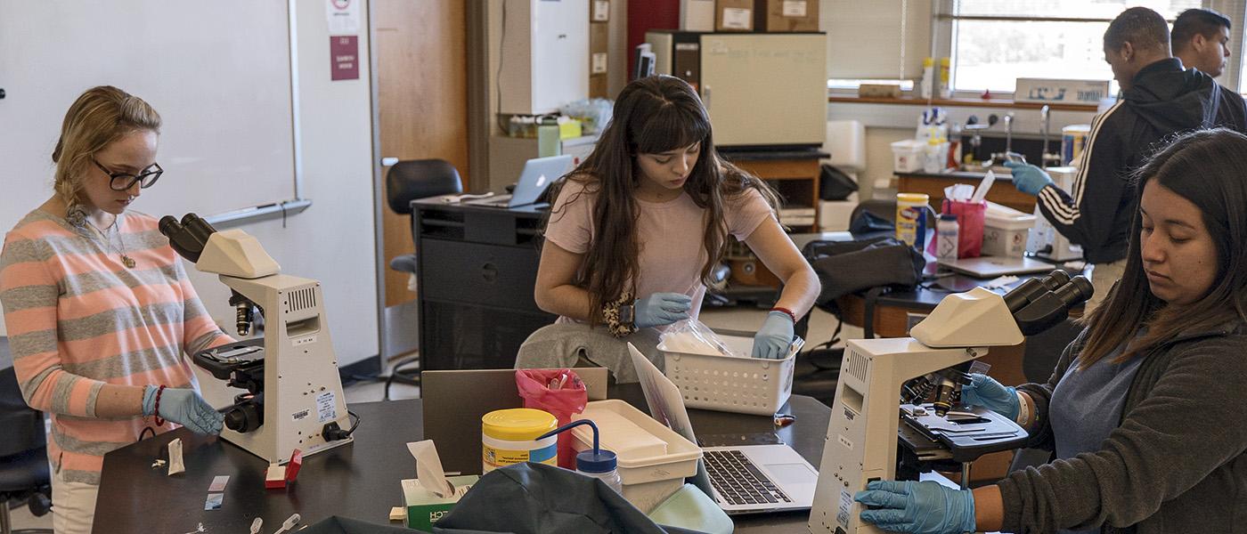 Undergraduate students conducting an experiment in a classroom